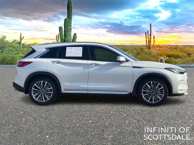 2023 INFINITI QX50 Sensory