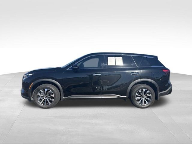 2023 INFINITI QX60 Pure