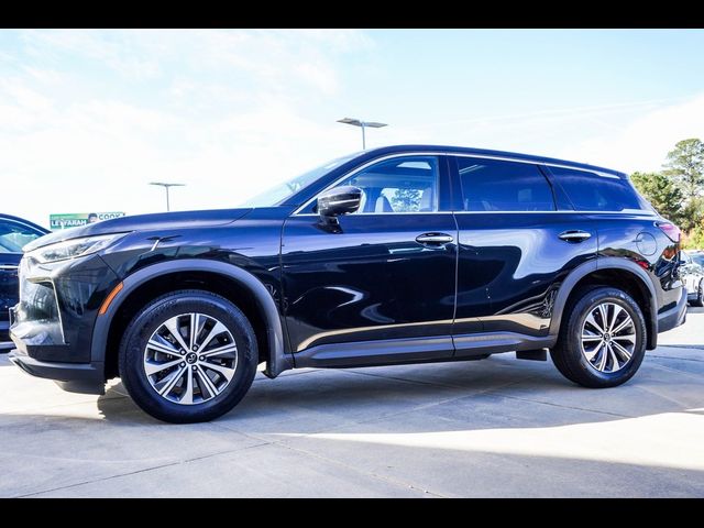2023 INFINITI QX60 Pure