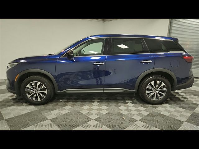 2023 INFINITI QX60 Pure