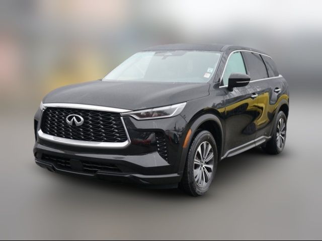 2023 INFINITI QX60 Pure