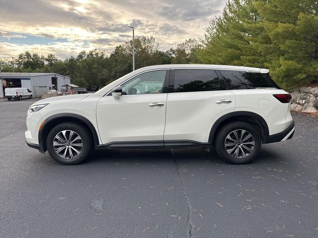 2023 INFINITI QX60 Pure