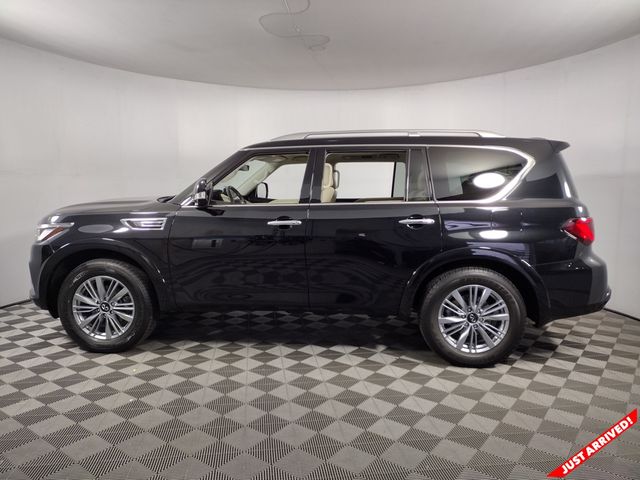 2023 INFINITI QX80 Luxe