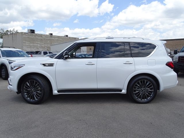 2023 INFINITI QX80 Premium Select