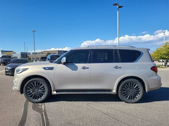 2023 INFINITI QX80 Sensory