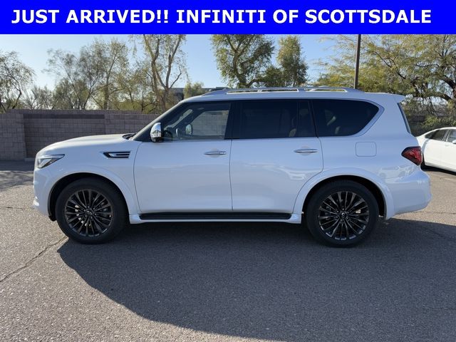 2023 INFINITI QX80 Sensory