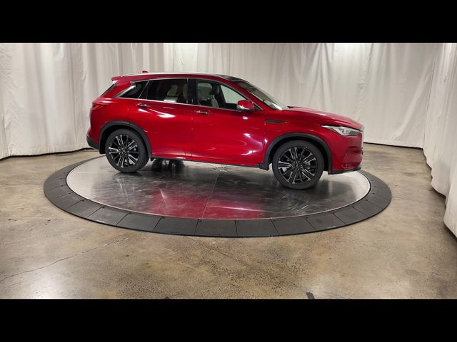 2023 INFINITI QX50 Sensory