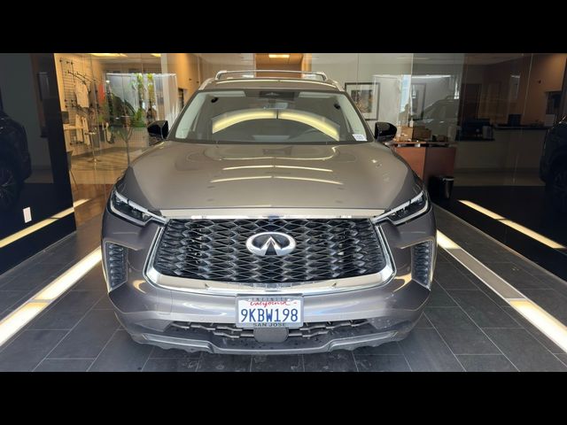 2023 INFINITI QX60 Sensory