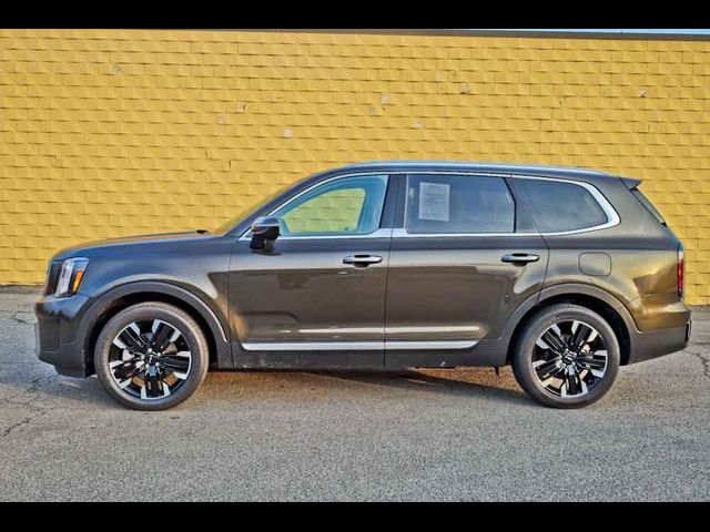 2023 Kia Telluride SX