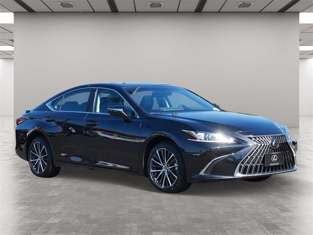 2023 Lexus ES 250