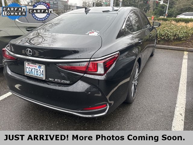 2023 Lexus ES 250