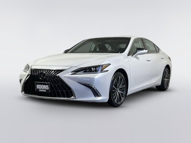 2023 Lexus ES 250