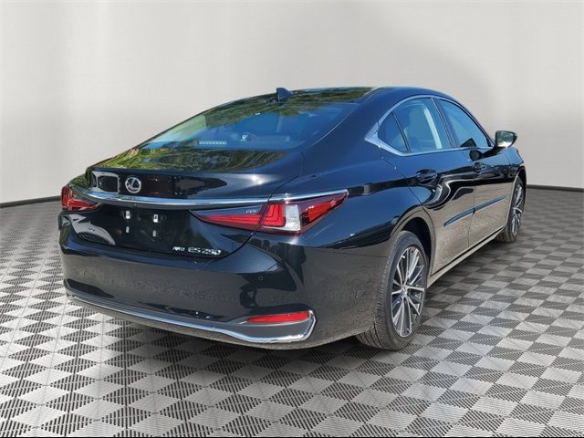 2023 Lexus ES 250