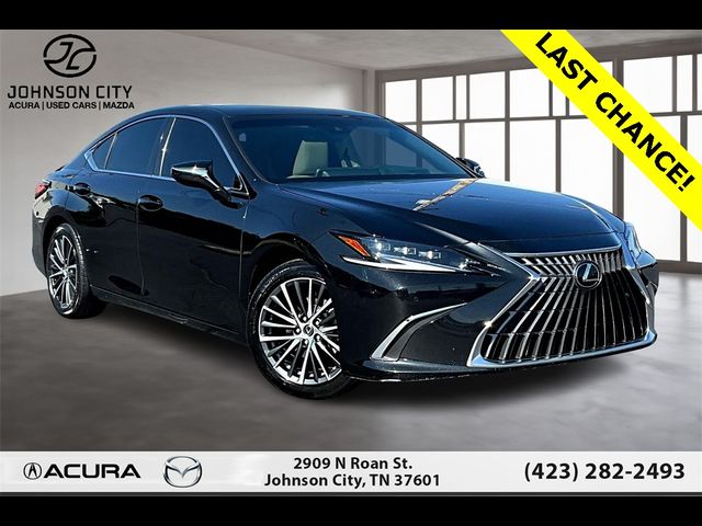 2023 Lexus ES 300h