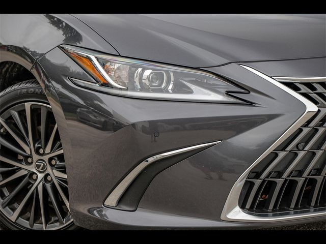 2023 Lexus ES 350