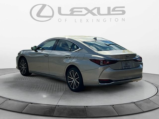 2023 Lexus ES 250