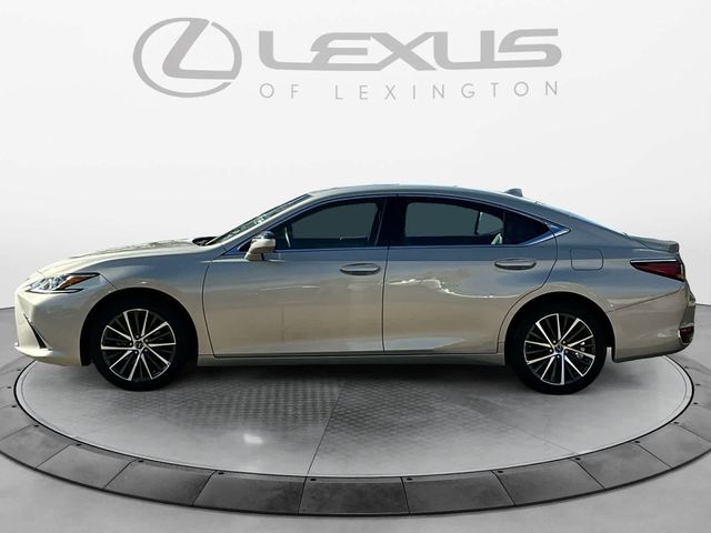 2023 Lexus ES 250