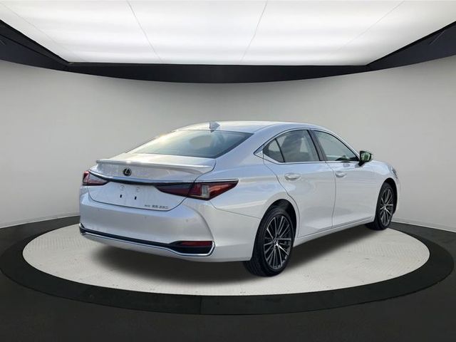 2023 Lexus ES 250