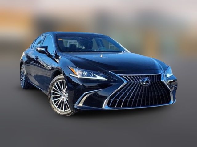 2023 Lexus ES 250