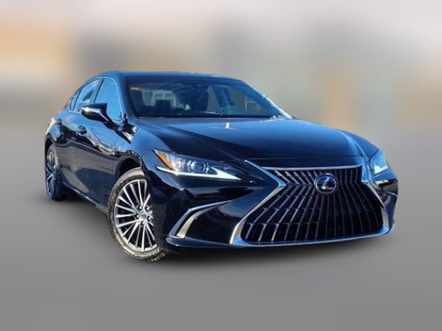 2023 Lexus ES 250