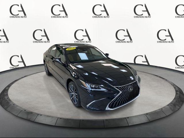 2023 Lexus ES 250