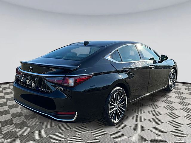 2023 Lexus ES 250