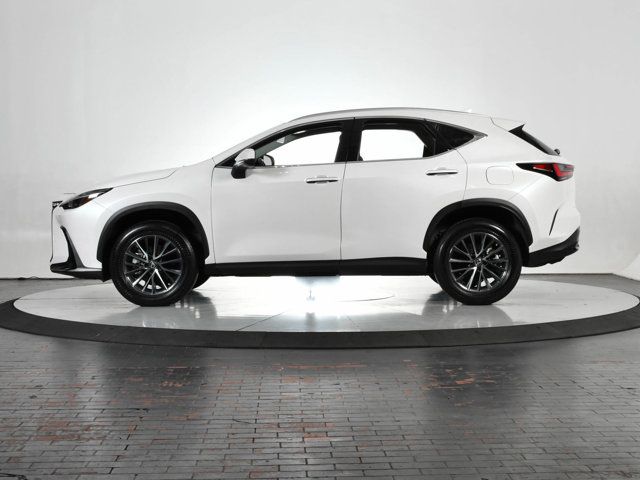 2023 Lexus NX 250