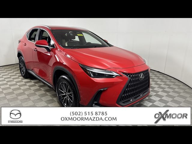 2023 Lexus NX 250