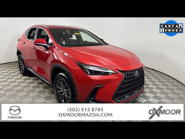 2023 Lexus NX 250