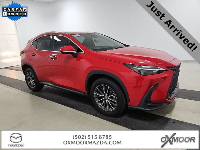 2023 Lexus NX 250