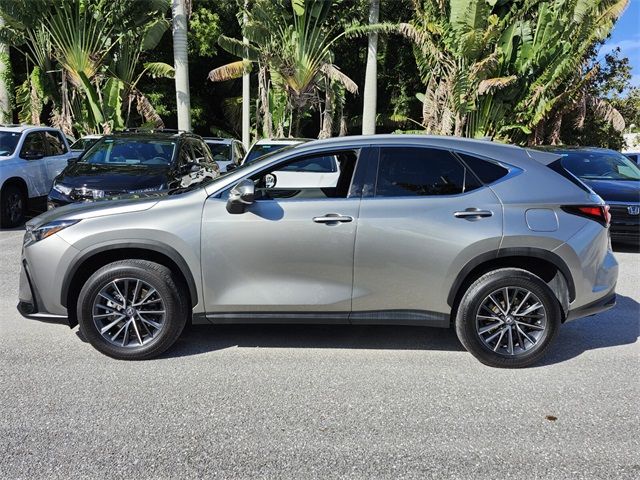 2023 Lexus NX 250