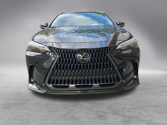 2023 Lexus NX 250