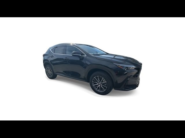 2023 Lexus NX 250