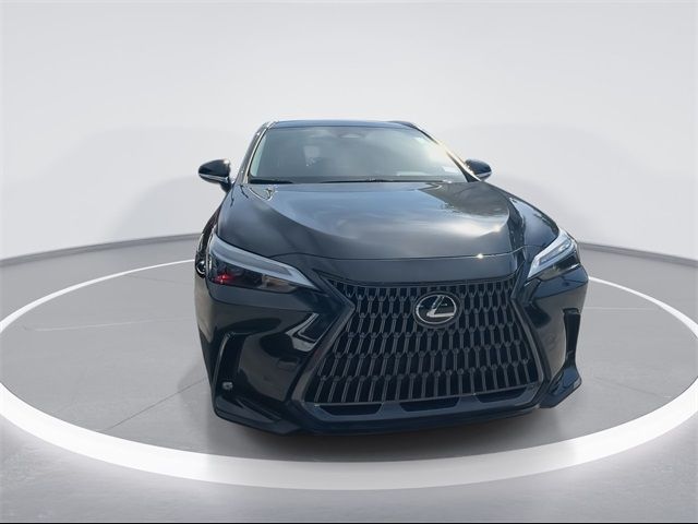 2023 Lexus NX 250