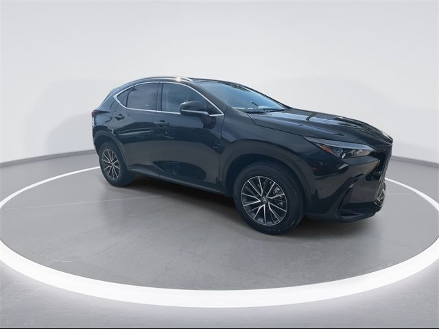 2023 Lexus NX 250