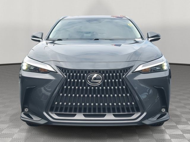 2023 Lexus NX 250