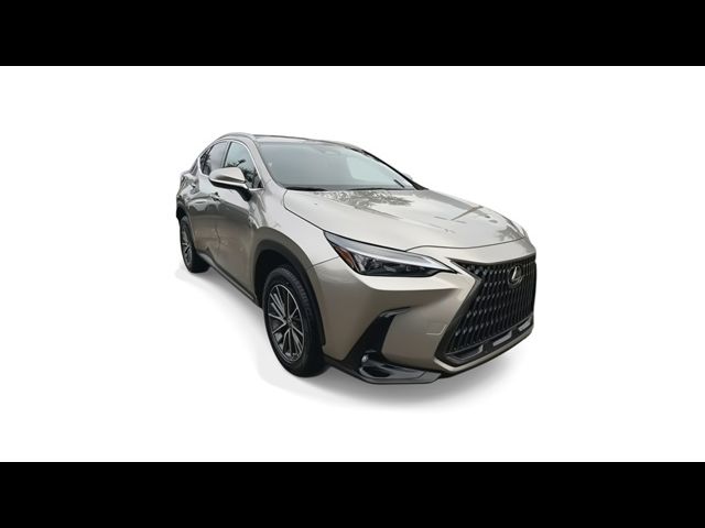 2023 Lexus NX 250