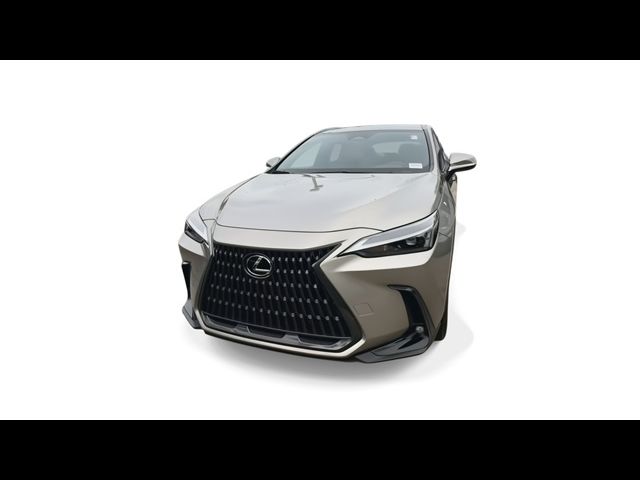 2023 Lexus NX 250