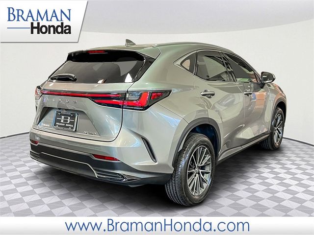 2023 Lexus NX 250