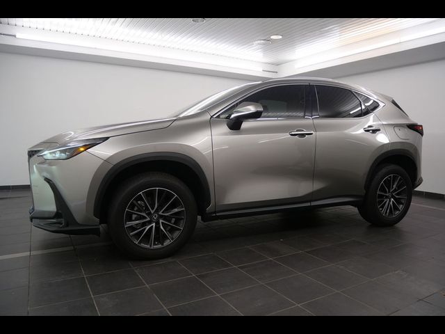 2023 Lexus NX 250