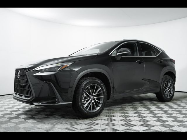 2023 Lexus NX 250