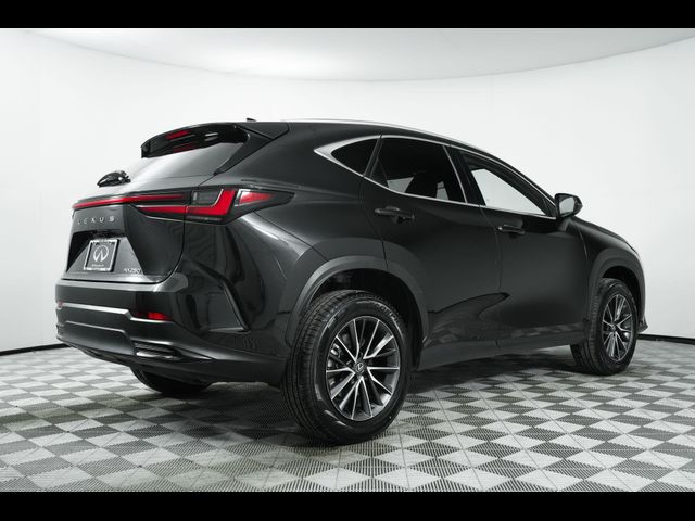 2023 Lexus NX 250