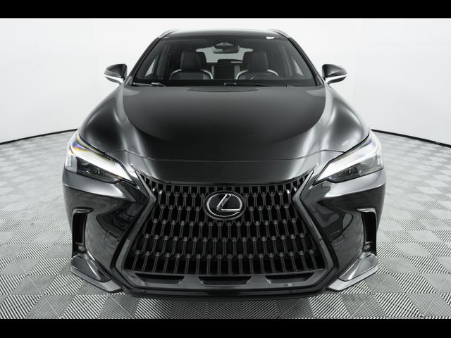 2023 Lexus NX 250