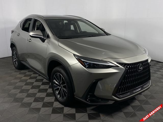 2023 Lexus NX 250