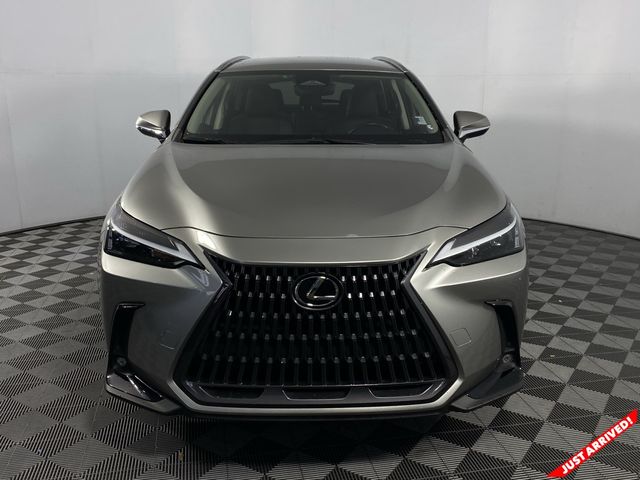 2023 Lexus NX 250