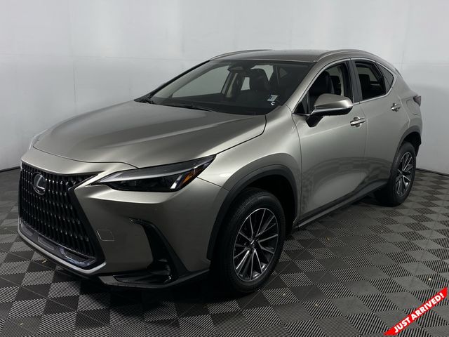 2023 Lexus NX 250