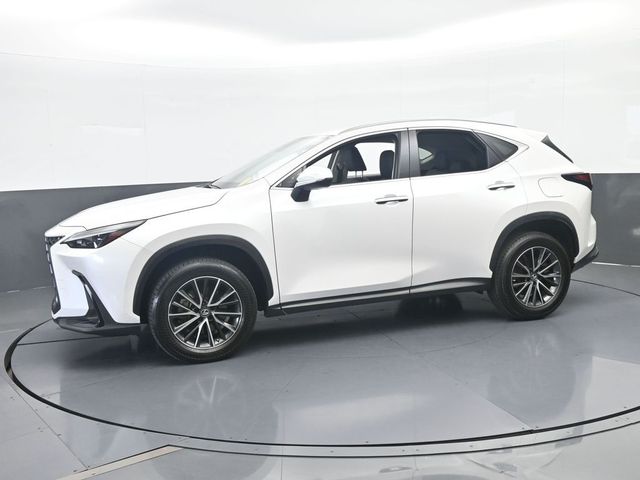 2023 Lexus NX 250