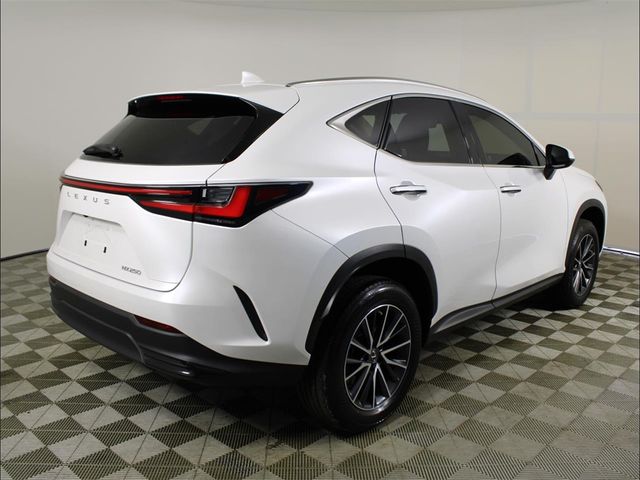 2023 Lexus NX 250