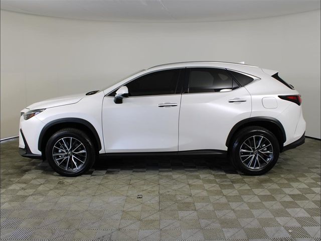 2023 Lexus NX 250