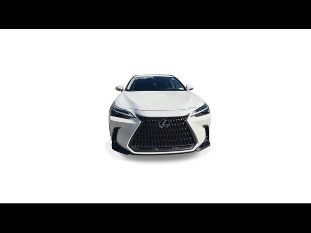 2023 Lexus NX 250